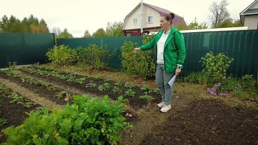 Самые вкусные сорта крупноплодной клубники. Что надо знать, прежде чем посадить гигантскую ягоду.