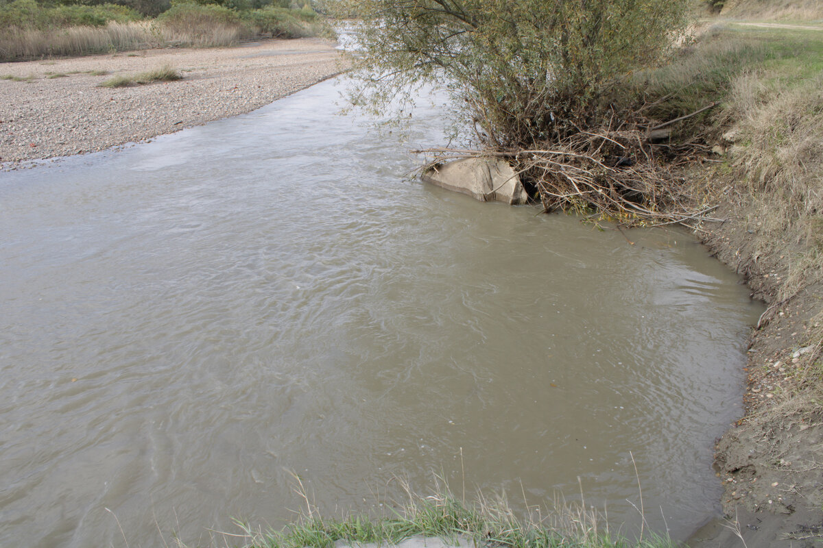 Протока реки "Кубань" 