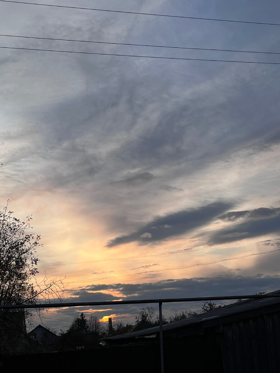 Красота у дома