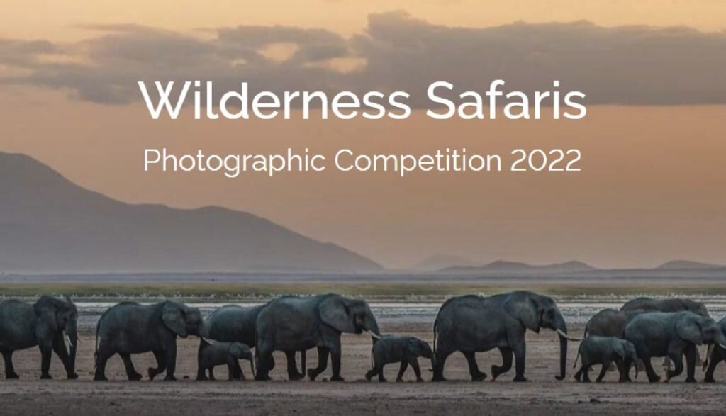    Фото: 2022 Wilderness Safaris Photographer of the Year