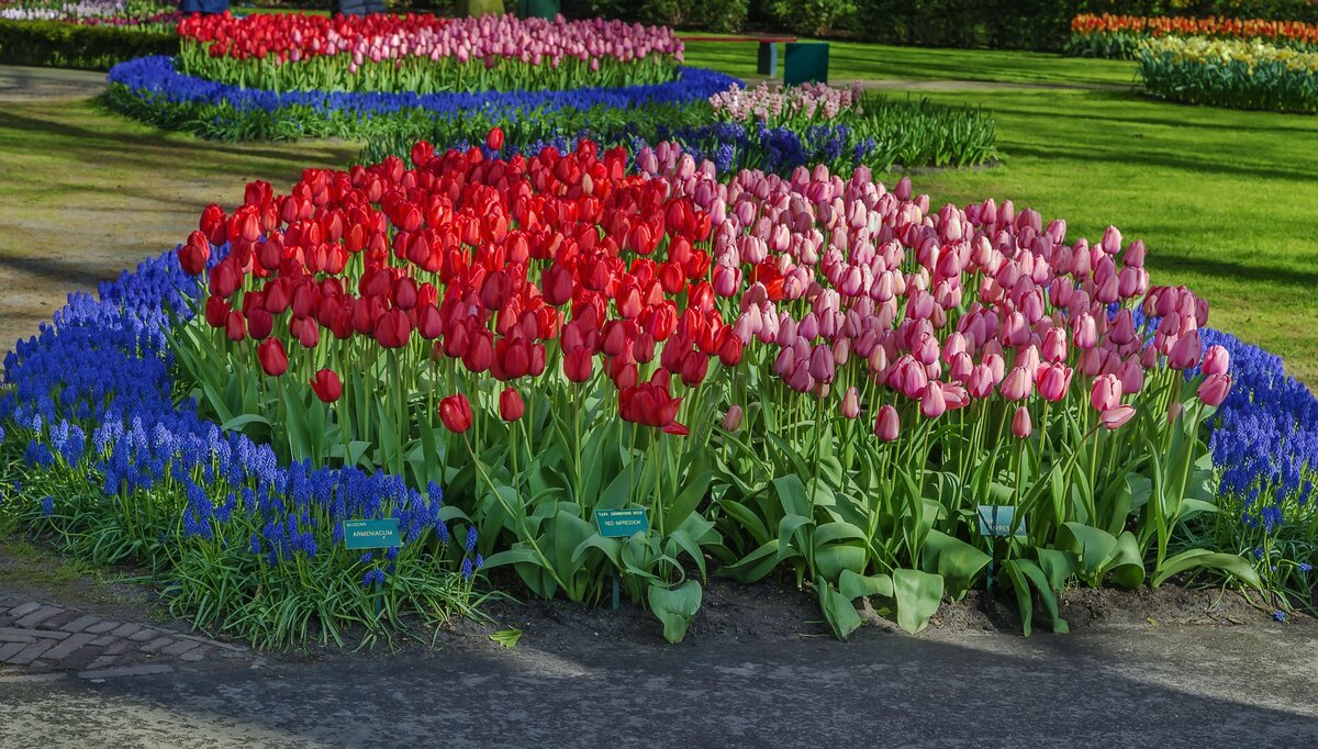    Клумба - самый популярный вид цветника.legion-media