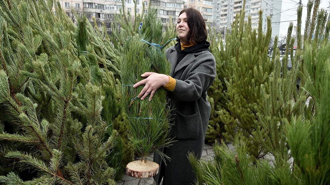Фото: ИЗВЕСТИЯ/Александр Полегенько