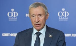    Фото: council.gov.ru Наталья Анисеева