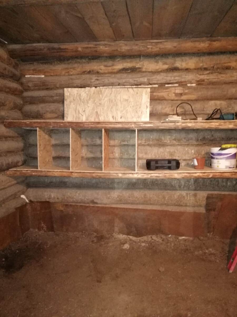 Начали улучшать курятник