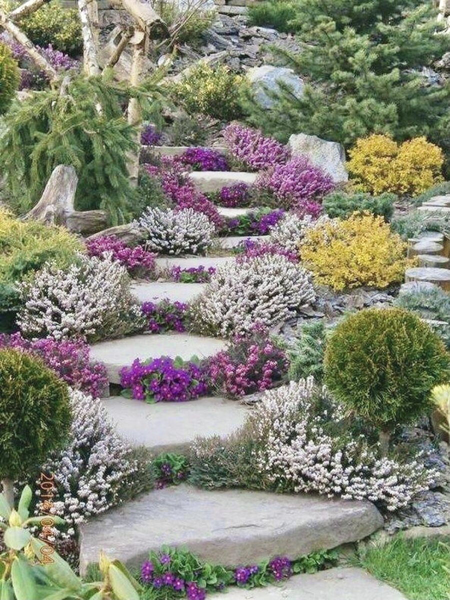 Альпинарий вдоль лестницы (pro-dachnikov.com)