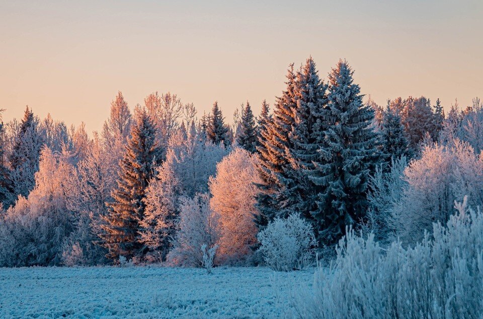     Фото: Валерия Витальевна