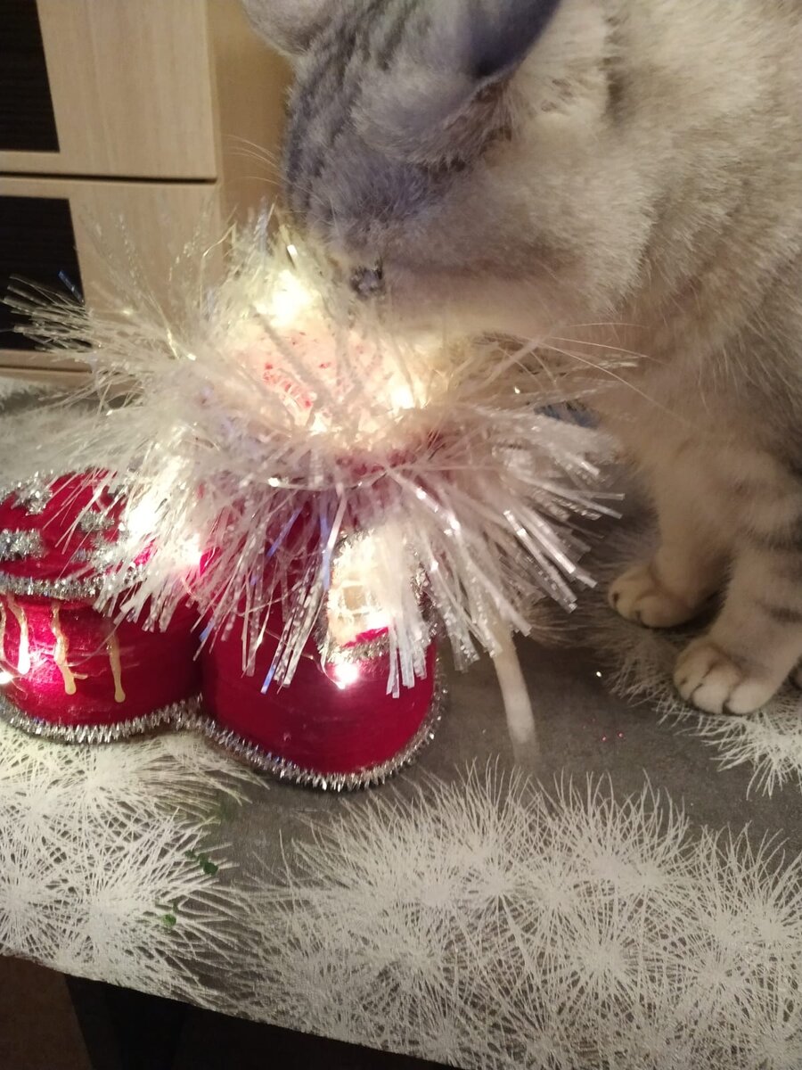 Что там мне Дед Мороз приготовил? А вдруг это новый мячик