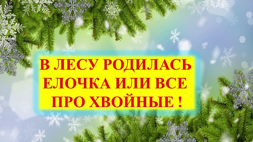 в лесу родилась ёлочка в лесу она росла пока её е встретила моя бинзапила