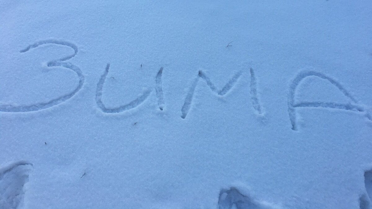     Первый выходной после рабочей недели заставит жителей региона либо укутаться во всевозможное шерстяное «движимое имущество», либо пустить корни в диван и не высовывать нос дальше порога.