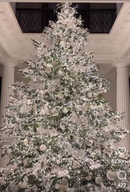    Фото: соцсети