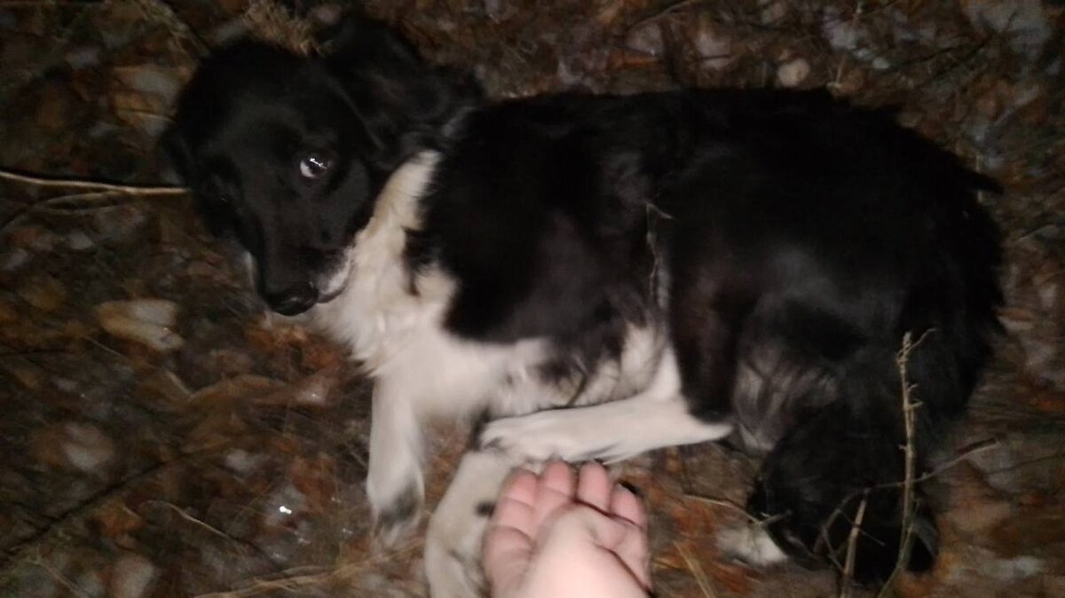 Очень гибкая девочка 