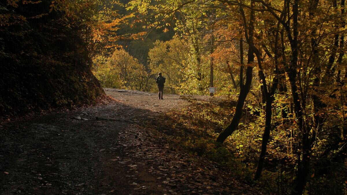    Сочинский национальный парк© РИА Новости / Михаил Мордасов
