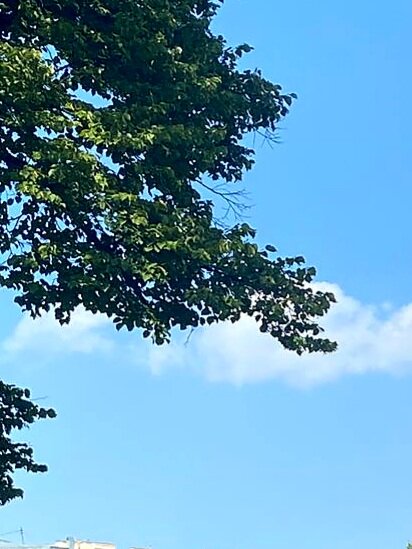 Воспоминания о лете