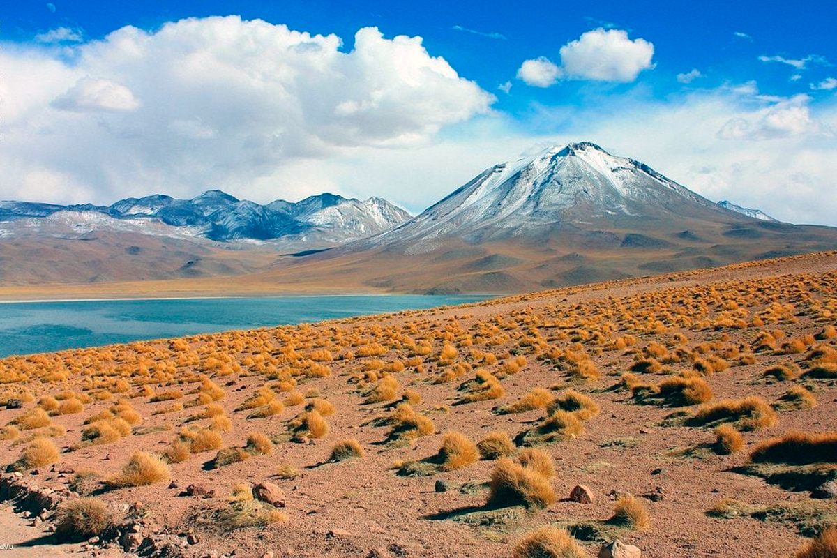 Природные зоны огненной земли. Чили пустыня Атакама. Южная Америка пустыня Атакама. Чили Америка пустыня Атакама. Патагония Чили пустыня.