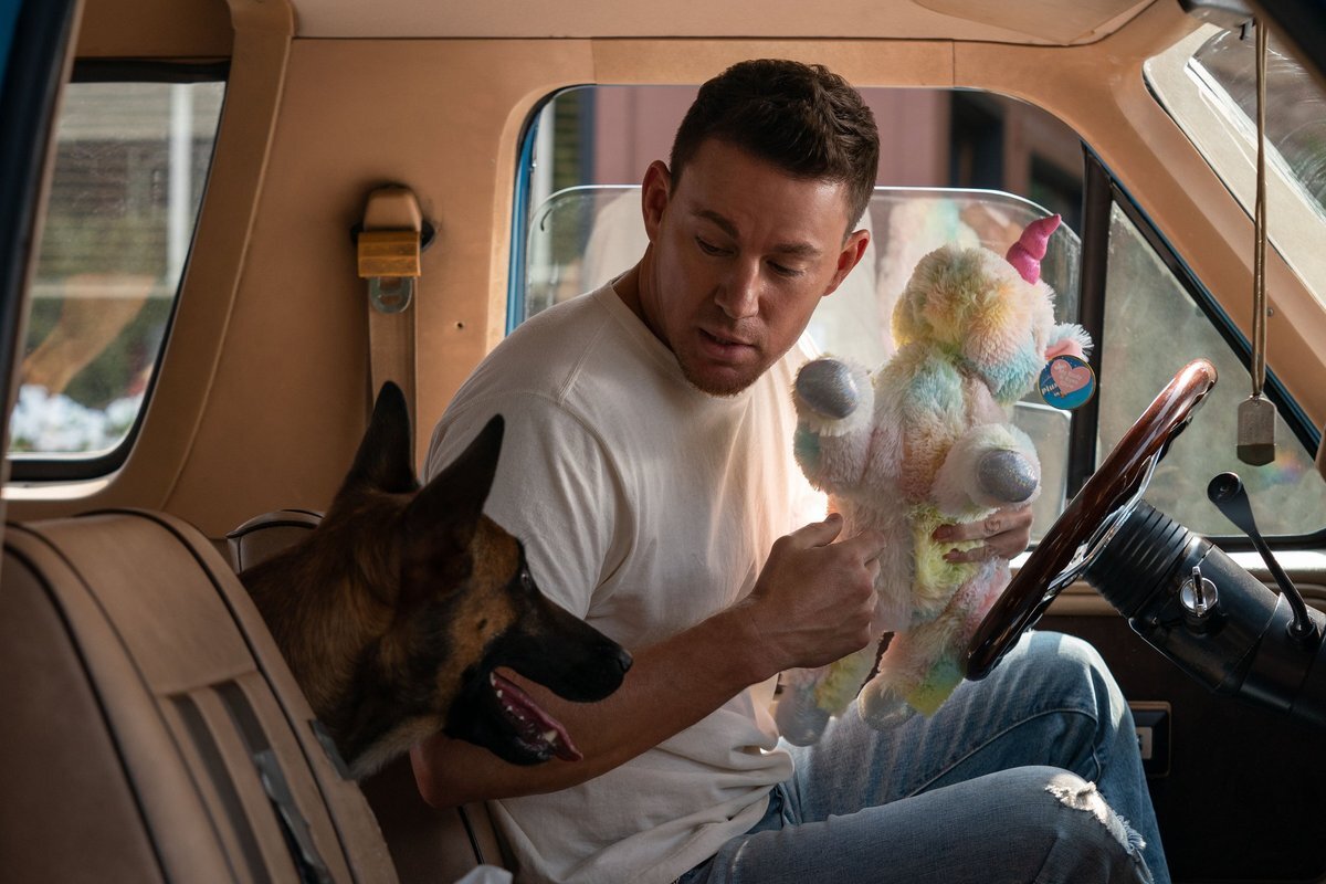 Комедии 2022. Ченнинг Татум дог. Dog фильм Ченнинг Татум. Лулу и Бриггс / Dog (2022). Ченнинг Татум 2022