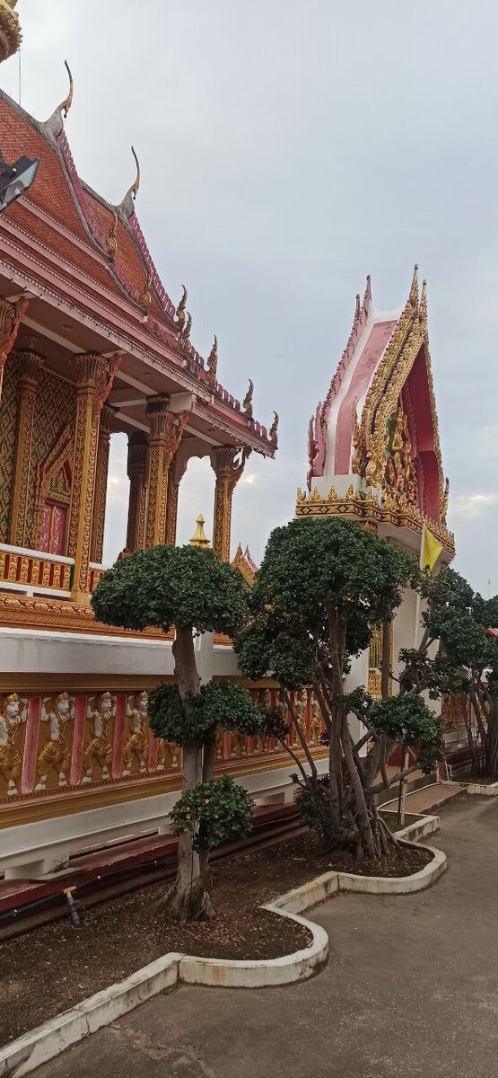 Глаза разбегаются - хочется сфотографировать сразу всё