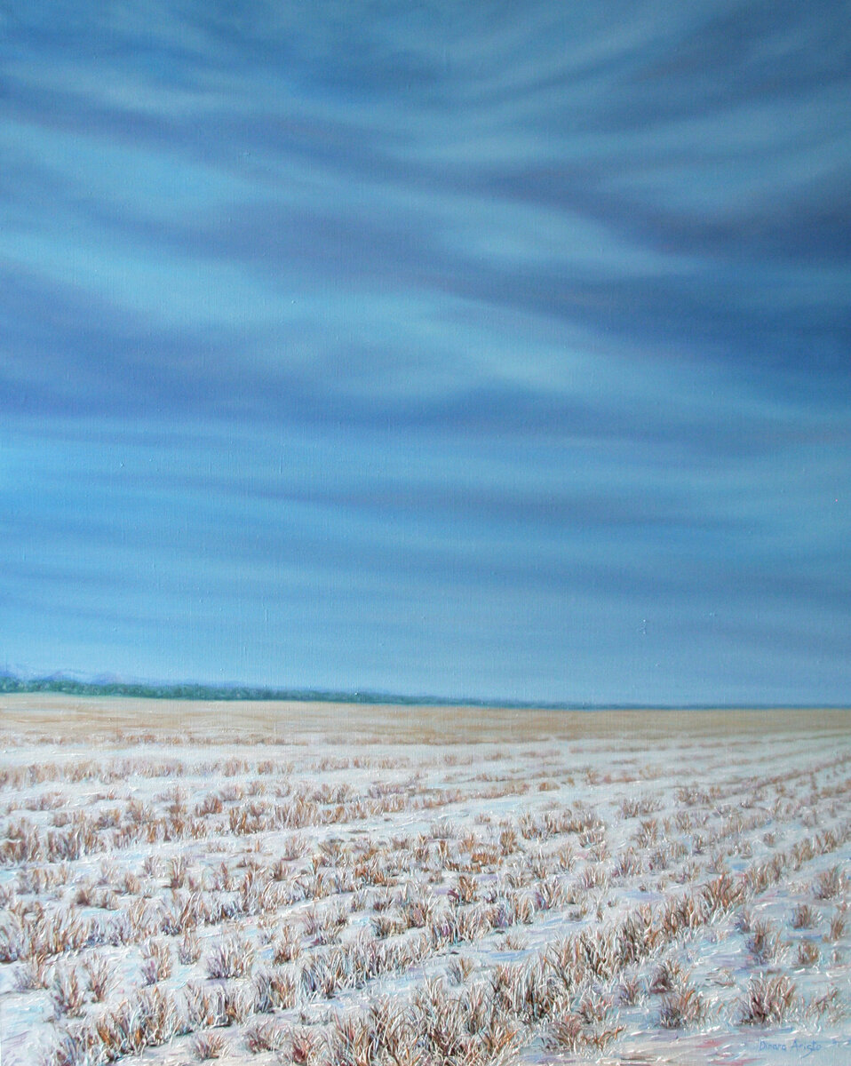 Динара Аристо: Широкие просторы. 2022