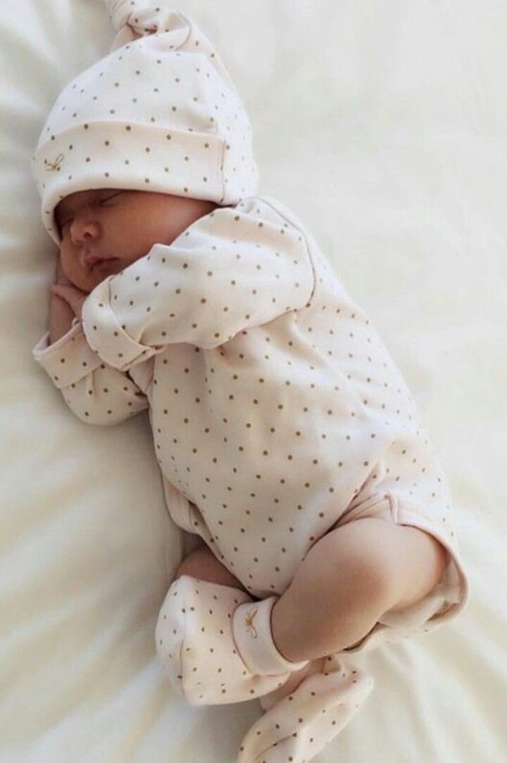 фото из открытых источников интернета