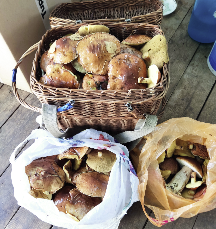 фото ивана Шниперсона