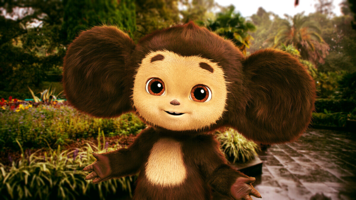 Фото из открытых источников