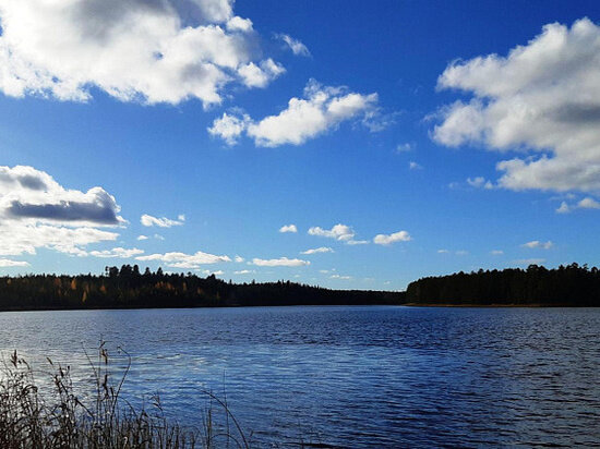     фото пресс-службы правительства Архангельской области