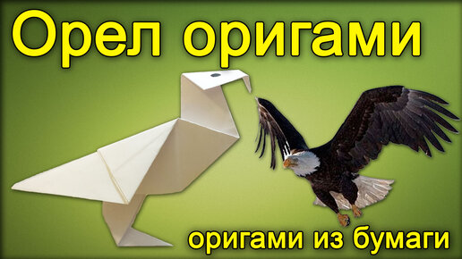 Как сделать орла из бумаги: три схемы разной сложности + видео-подборка в конце статьи