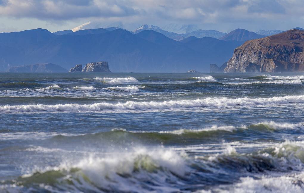 © Елена Верещака/ТАСС 