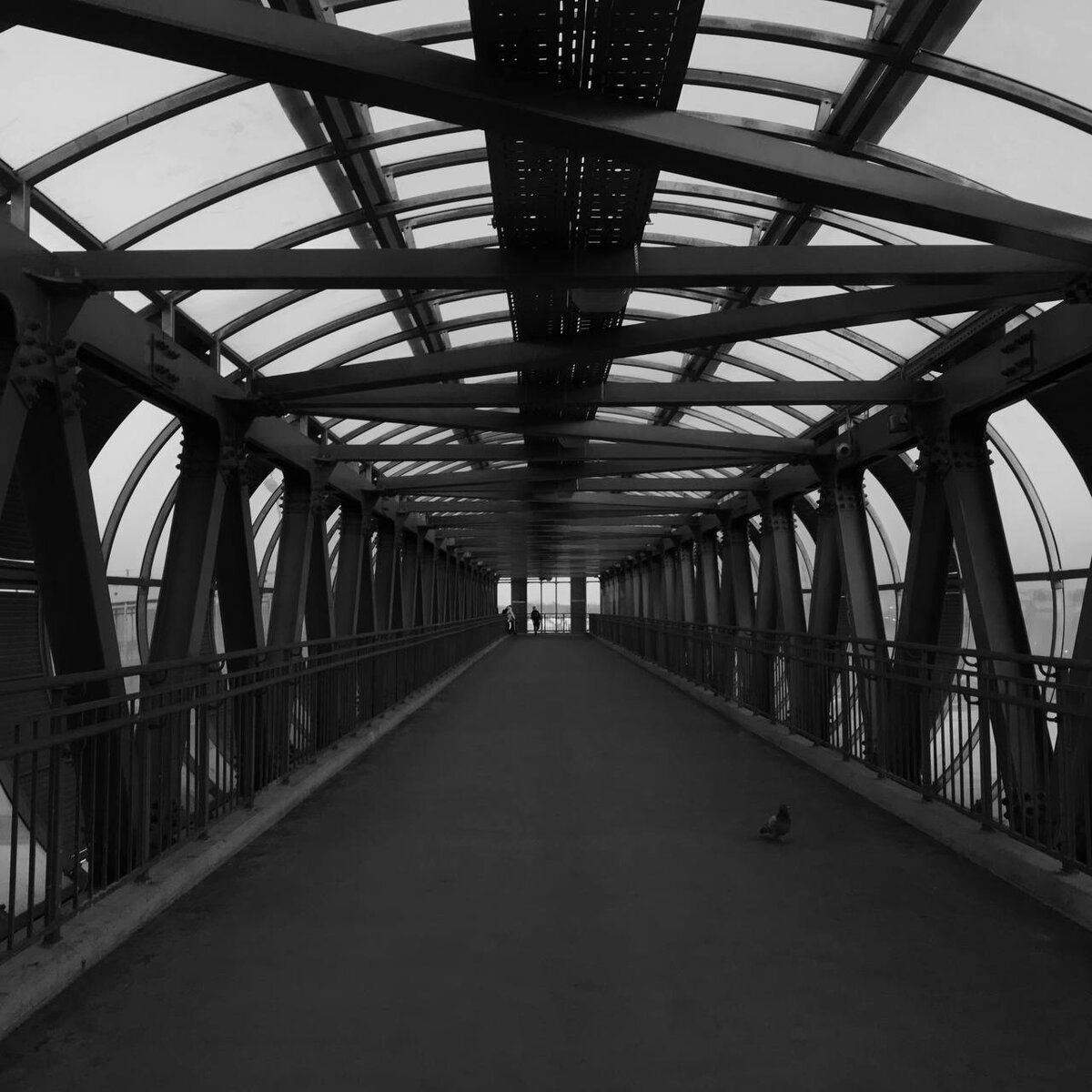 Фото Софьи Галагановой