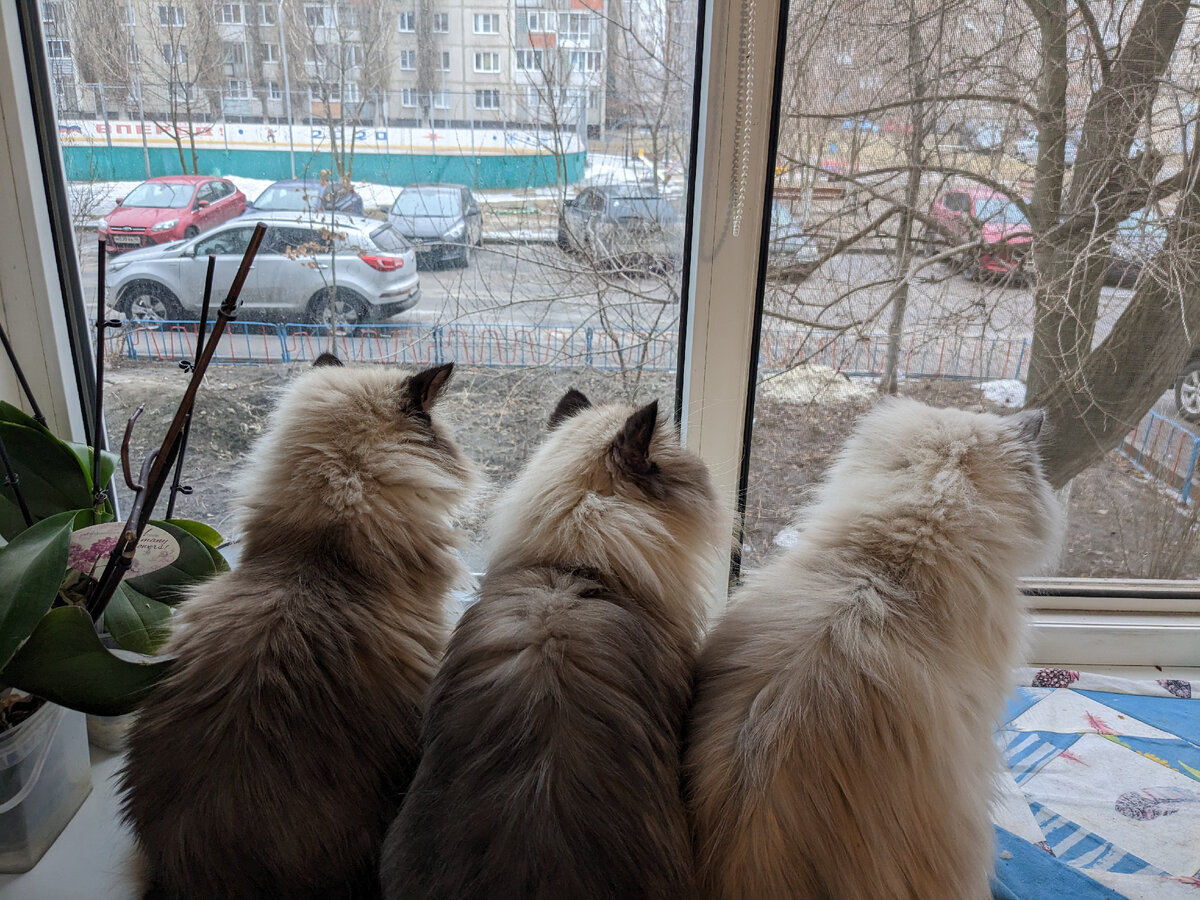 "Дел не впроворот". Фото из личного архива 