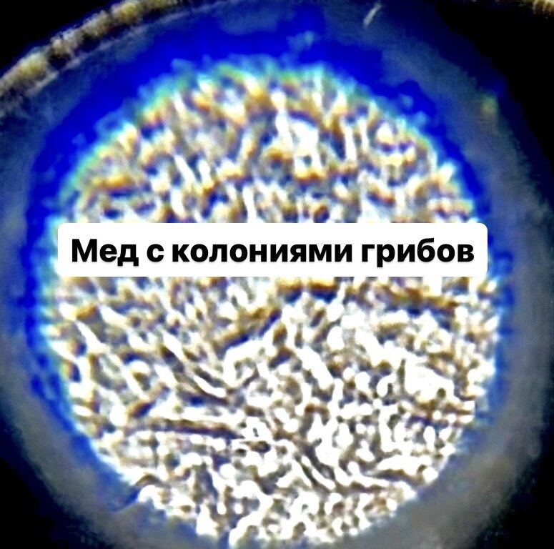 Мед под микроскопом ( фальсификат)