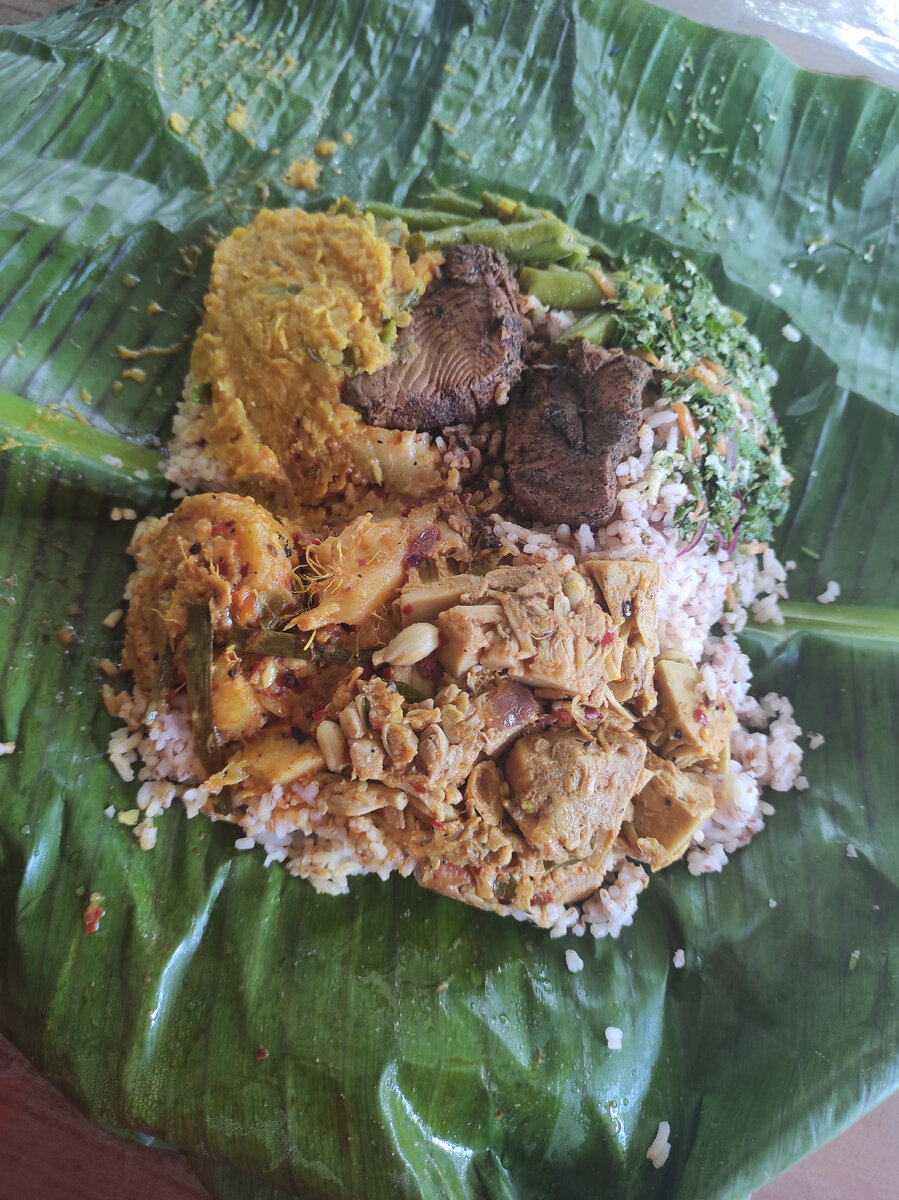 Домашняя еда - рис, даал, салат, маринвоая слива, джекфрукт и кусочек рыбы