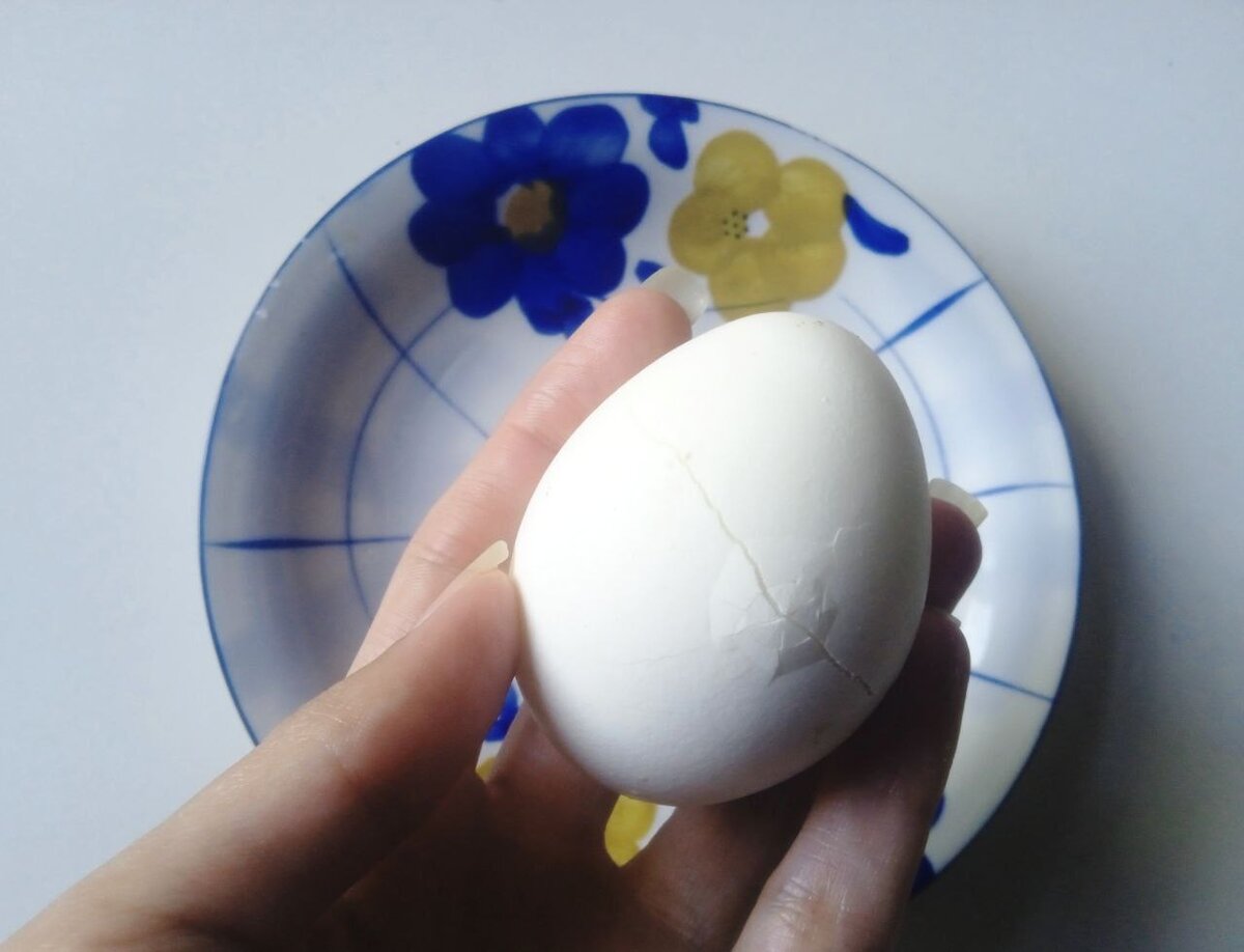 Яйца воде видео. Трещины на скорлупе. Посуда для подачи вареного яйца. Скорлупа вареного яйца под лупой. Водяное образование в яйцах.