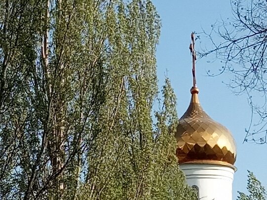 Фотография из личного архива автора