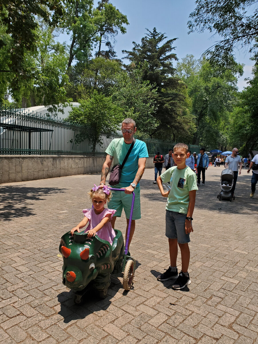 Прогулка по зоопарку Чапультепек в Мехико