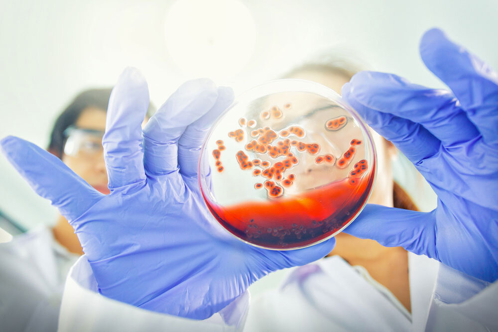 Источник: rg.ru