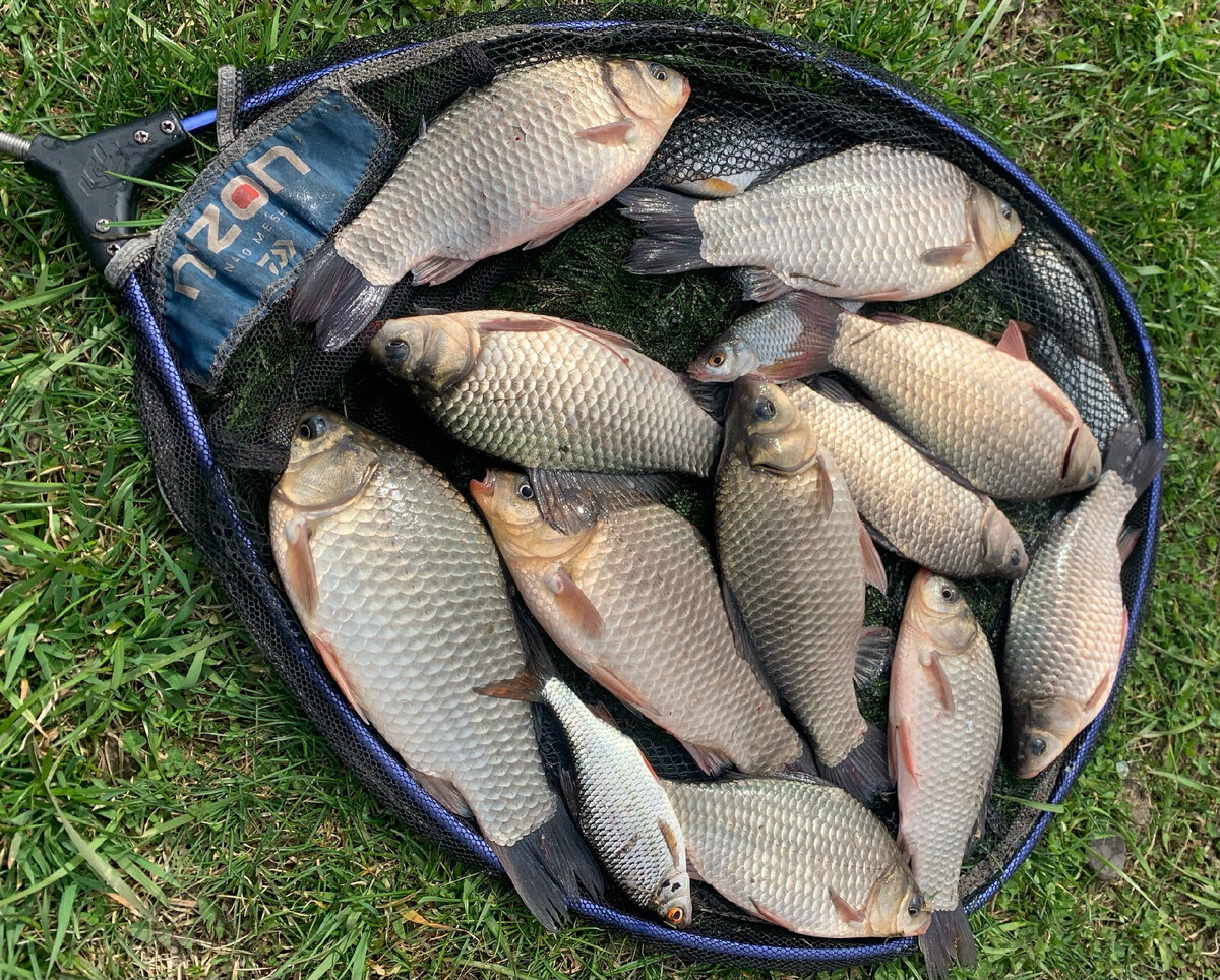 фото: Максим Бочаров