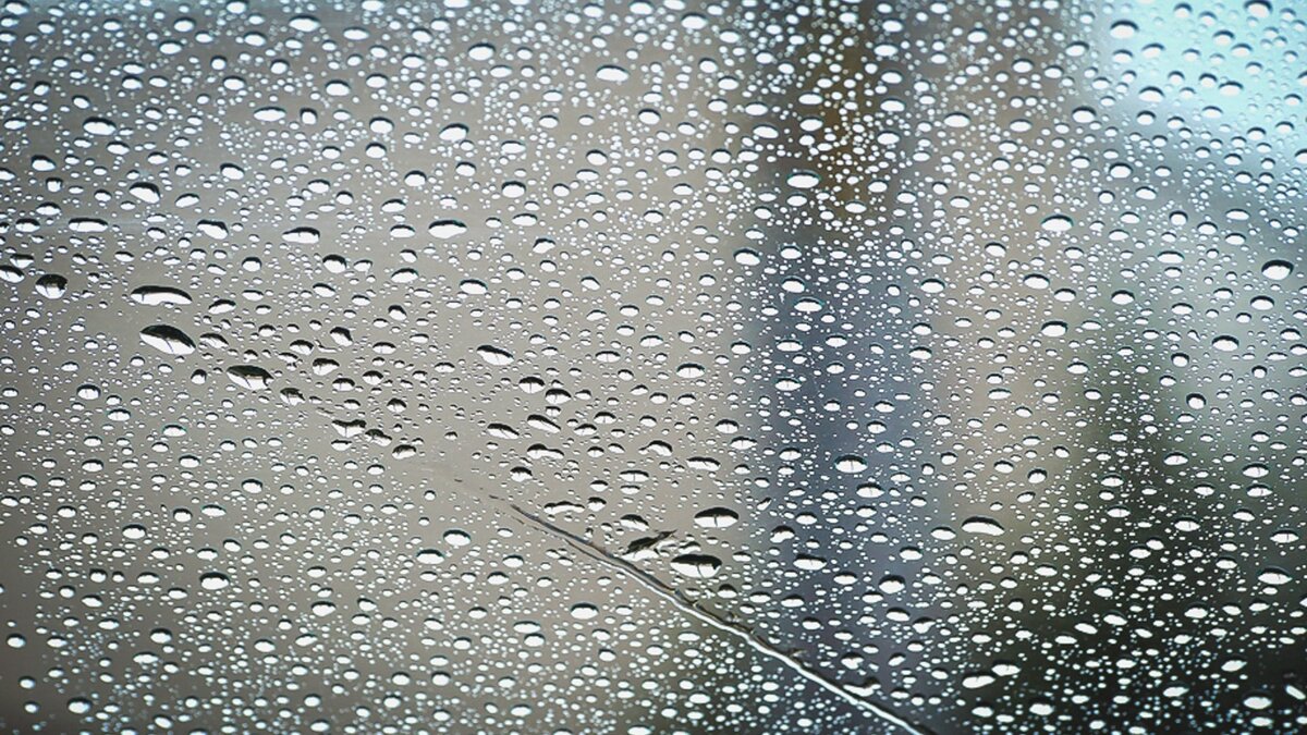     На Карелию надвигается непогода, синоптики предупредили о значительном ухудшении прогноза, финская пограничница поделилась впечатлениями от встречи с медведем в лесу – о чем говорили в этот вторник.