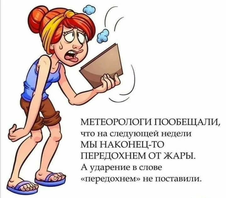 Петров метеоролог. Когда синоптики говорят что завтра будет ясно. Техник метеоролог. Метеорологи говорят. Метеорологи пообещали.
