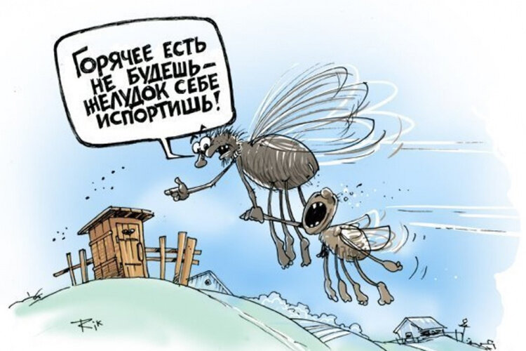 Яндекс. Картинки.