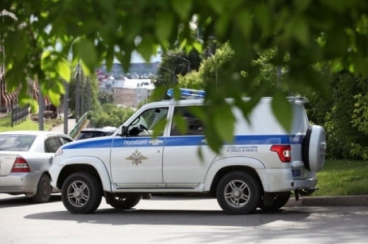    На Кубани нашли девочку, подозреваемую в жестоком обращении со щенком