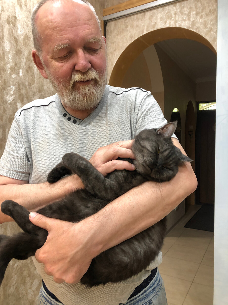 Муж и кошка. Видят мир по-разному. 