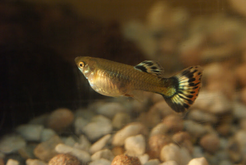 Источник фото: kidskunst.info