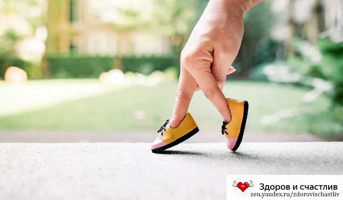 Источник изображения "Яндекс Картинки"