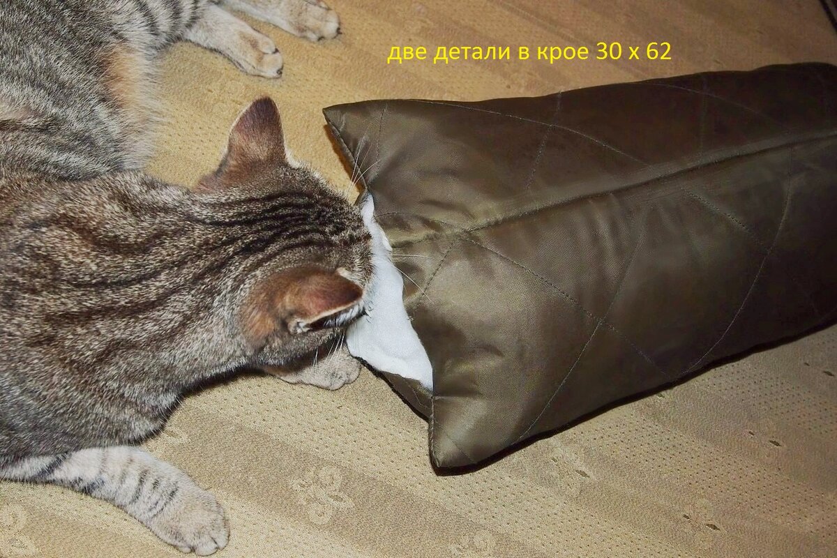 Всюду нужно сунуть нос