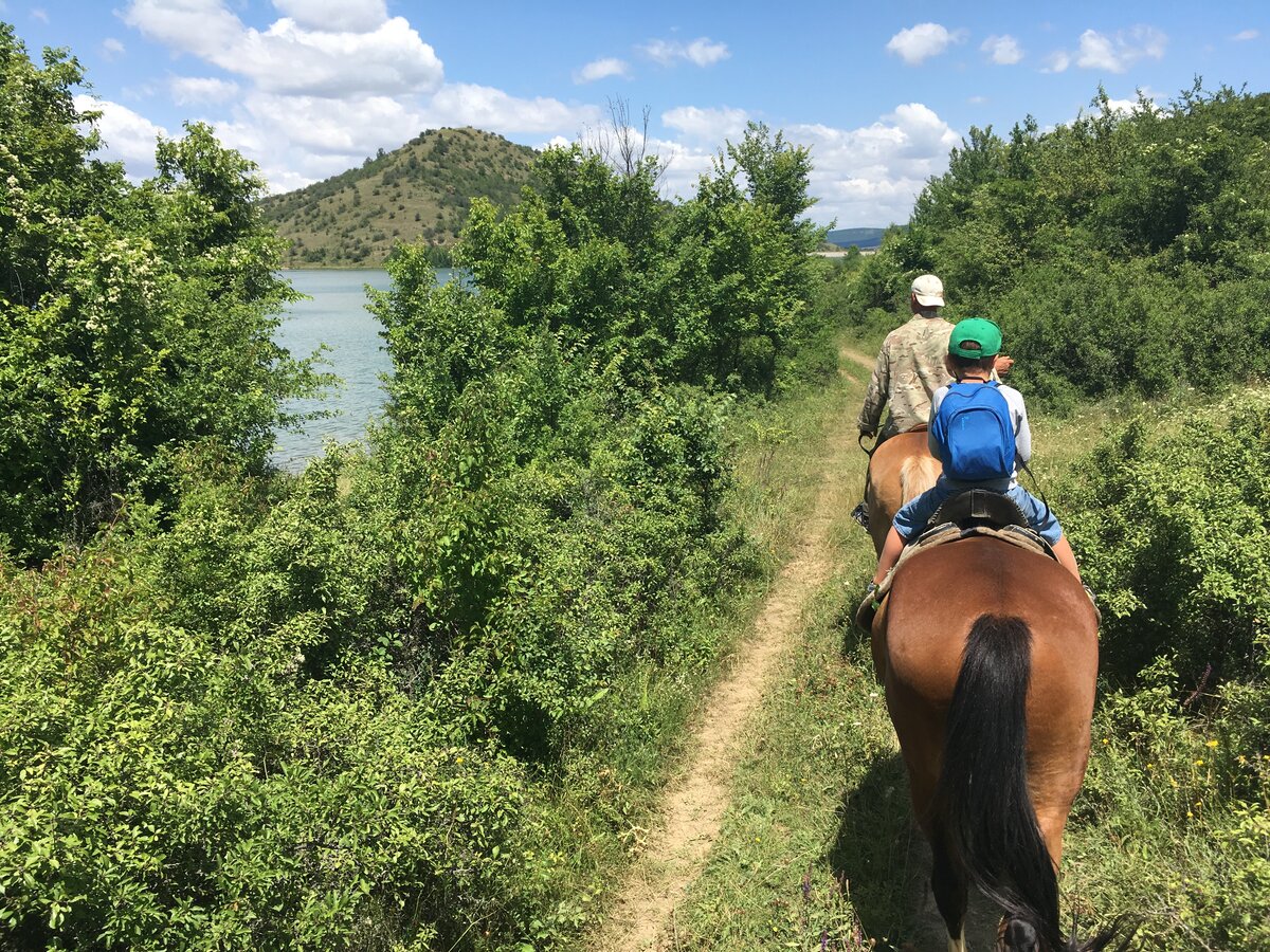 конноспортивная база. конный клуб ход конем. конная полиция в севастополе. конная база в феодосии. ход конем севастополь.