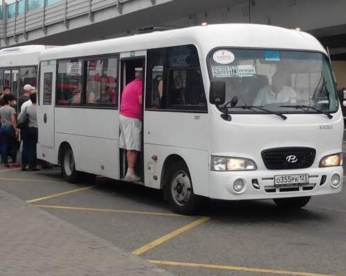   Автобус №58 (до 2019 года - №173) довезет до границы 
