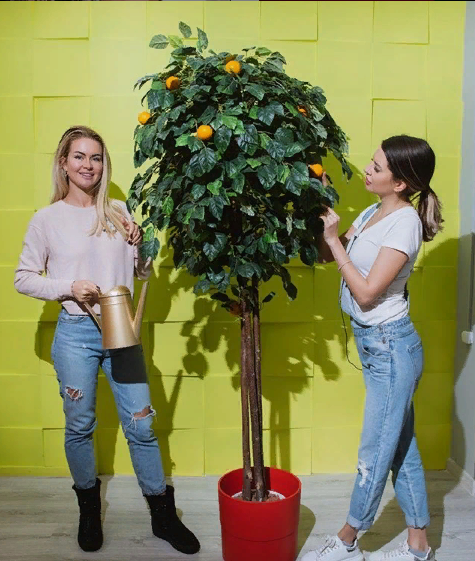 Это не обложка, она дальше. 