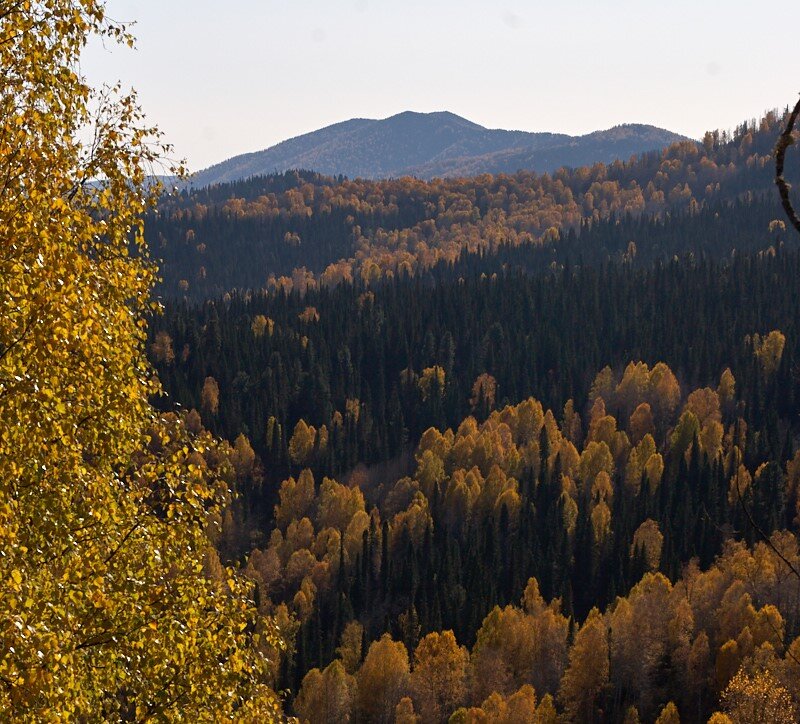 Абаканский хребет