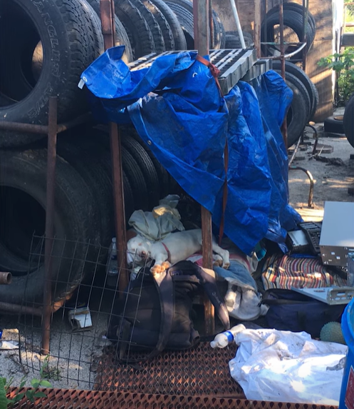 Фотография взята с сайта youtube.com