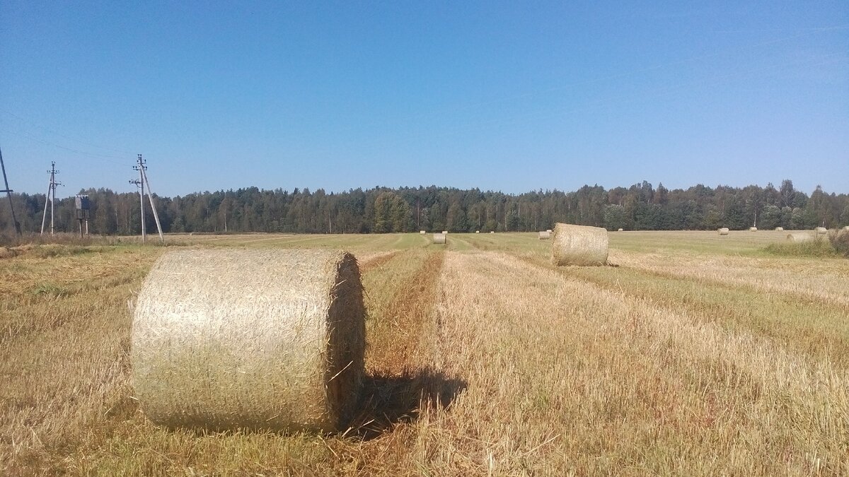 автор фото Александр Г.
